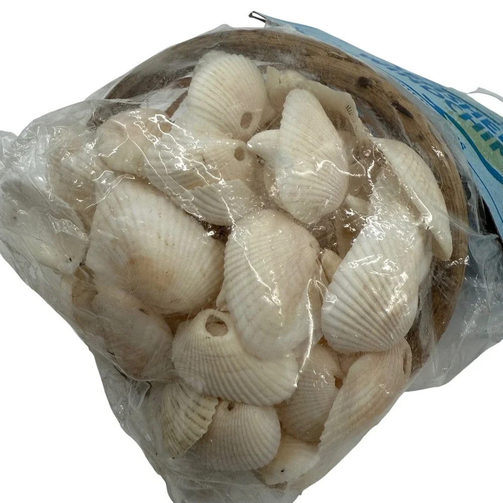 Seashell Wind‎ Chime Coastal Decor Beach Ocean Cottage Handmade Philippines 14